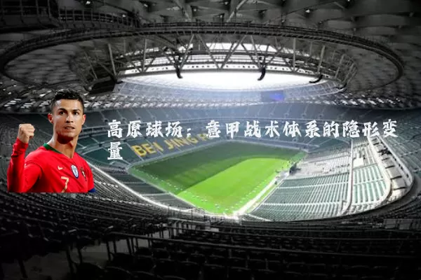 高原球场:意甲战术体系的隐形变量